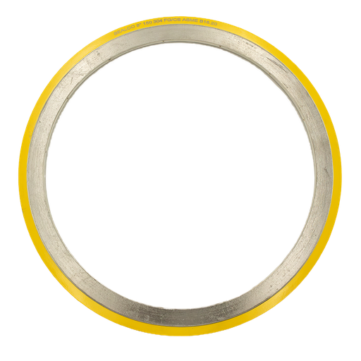[240505012] ESPIROMETALICO  SS 304    GRAFOIL 10" X 300 PSI